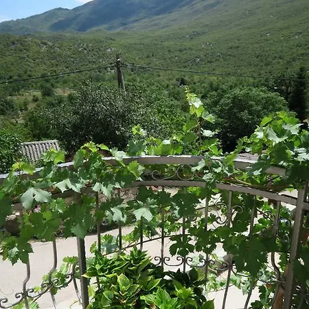 Apartman Marina *