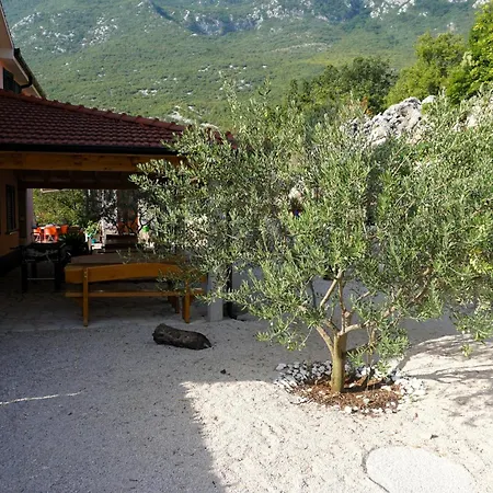 Marina Zagvozd
